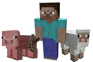 Steve